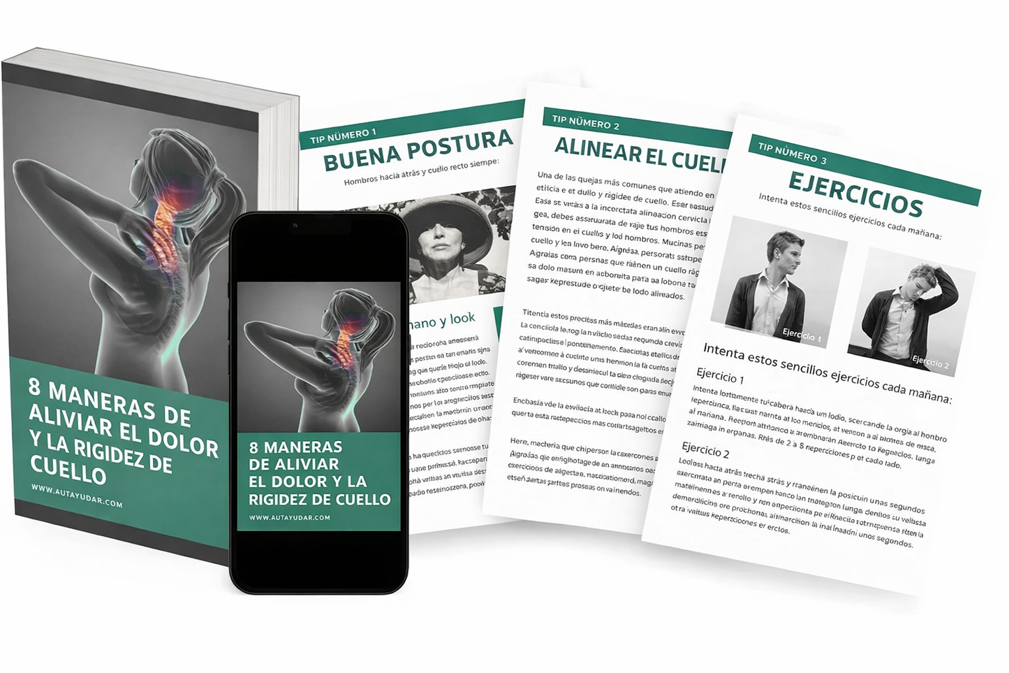 FisioZen — Guía de Recuperación Cervical